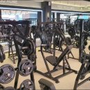 위너피트니스 이미지