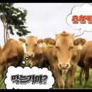 윤환농장 이미지