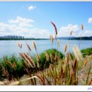 해바라기어린이공원 이미지