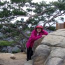 명품 1호 이미지