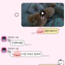 멍멍나래 이미지