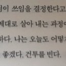 복싱트라이브 이미지