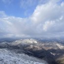 제일카프라자 | [평창 여행] 평창 발왕산 케이블카 설산 오픈런 | 주차정보 | 요금 및 할인 | 천년주목숲길 코스 | 카페...