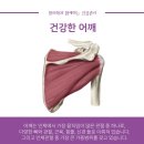 다산애한의원 네이버블로그