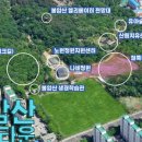 불암산 순환산책로 이미지