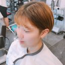 머시헤어 이미지
