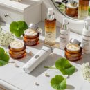 광뷰티 의료기기 이미지