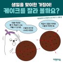 씽씽수학