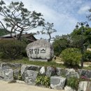 신광목장 | 천안 아이와 가볼만한 곳 | 맘맘스 신광목장 + 피자만들기, 동물먹이주기체험