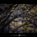 지리마을축산 이미지