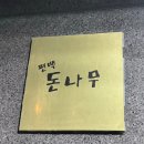 편백돈나무