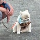 더 링크 서울, 트리뷰트 포트폴리오 호텔 이미지