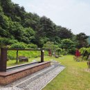 아이-정원 이미지