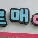 나르매애견