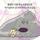6월은 걍 파라파라나 춰야겠다 .ᐟ