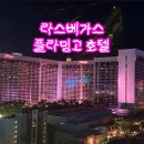 플라밍고 | 라스베가스 가성비 스트립 숙소 플라밍고 호텔 1박 업그레이드 후기