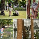 캥거루 동물병원 이미지