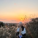 제주애단비 마주 | 애견동반 제주도 여행✈️ 제주애단비 마주