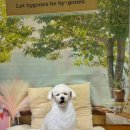 포근푸근 이미지