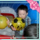 화창태권도장 이미지