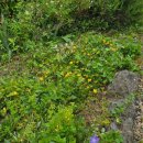 프로방스민박 이미지