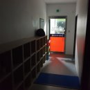 용인대단재태권도 이미지