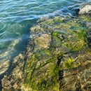 안인모텔 이미지