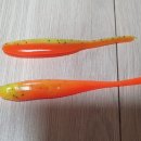 오가피싱
