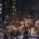 서울 글래드 마포 호텔｜내돈내산 가성비 좋고, 분위기 좋은 서울 공덕 (마포)숙소 (크리스마스, 기념일...