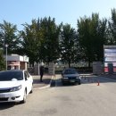 은행나무길(경제진흥원앞) 이미지