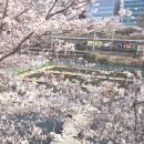 신기낙시터 이미지