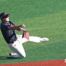 김세민 카카오 검색결과