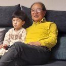 횡성한우리벌꿀