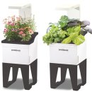 햇빛농장 이미지