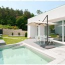 애견의숲 이미지