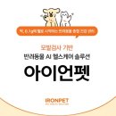 털 조금으로 우리 강아지의 건강을 확인할 수 있다면 ?아이언펫 모발 영양성분 검사 후기