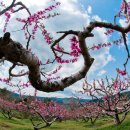 삼화1리 이미지