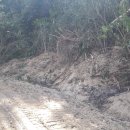 영빈농장 이미지