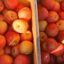 분남농장 이미지