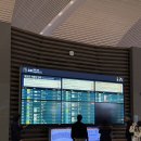 항공세탁 | 인천공항 2터미널 가루다항공 이코노미 탑승 후기