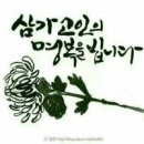 오전천로 이미지