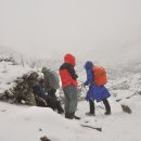 무릉농장 이미지