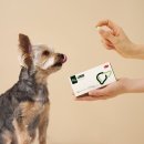 (주)케어사이드 | 케어사이드 모두 사메탑 60정, 3개월 써보고 느낀 솔직 후기