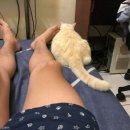 동아오토바이