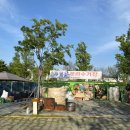 삼락오토캠핑장 이미지