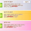 스킬 관련 오역/오탈자 제보 (좀 많음) 이미지
