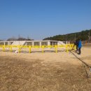 고위산삼계탕
