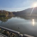 월계로 42길 | [노원 맛집] 한입 먹으면 웃음이나는 맛돌이 일식 전문점<솔직하다> 솔직후기 내돈내산 주차