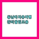 우산카클리닉 | 동남아 자유여행 준비 꿀팁 모음