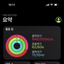 파티친구